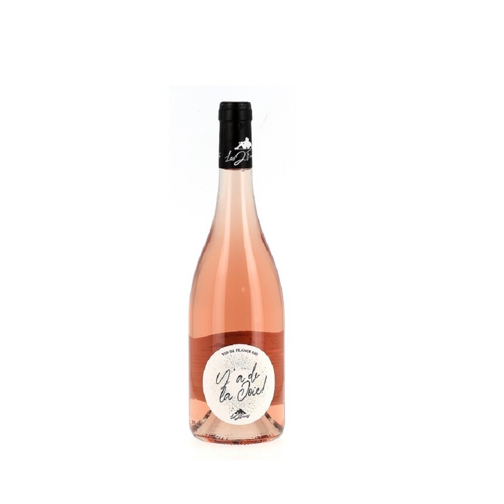 Y'a de la Joie - Les 2 frérots - Vin de France Rosé Bio - 2021