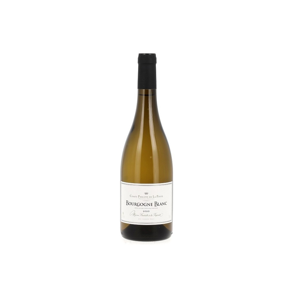 Bourgogne Blanc - Château de Monternot - 2020 - AOP