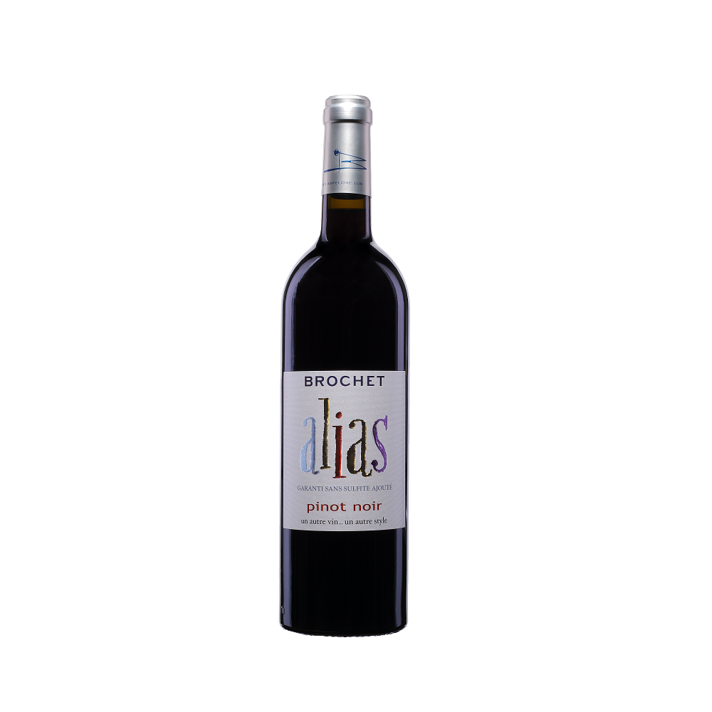 Pinot Noir Alias - Ampelidae - IGP Val de Loire Rouge