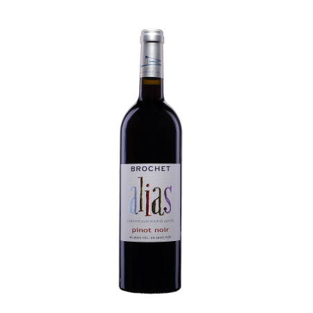 Pinot Noir Alias - Ampelidae - IGP Val de Loire Rouge