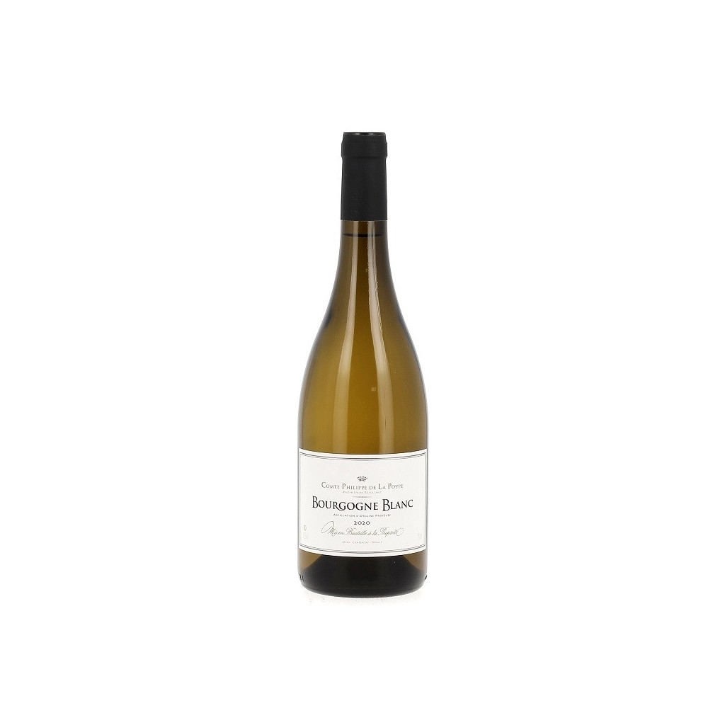 Bourgogne Blanc - Château de Monternot - 2023 - AOP