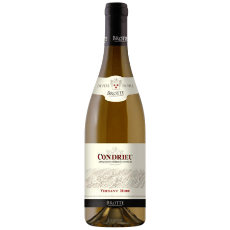 Condrieu - AOC - Versant Doré - Maison Brotte - 2023