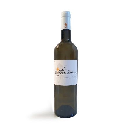 copy of 1001 Stones - Ferrand Red AOC Organic 2023