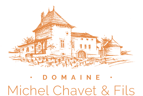 Logo Domainechavet